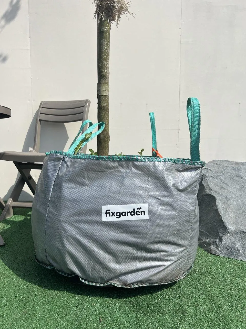 Клен остролистный Роял Ред