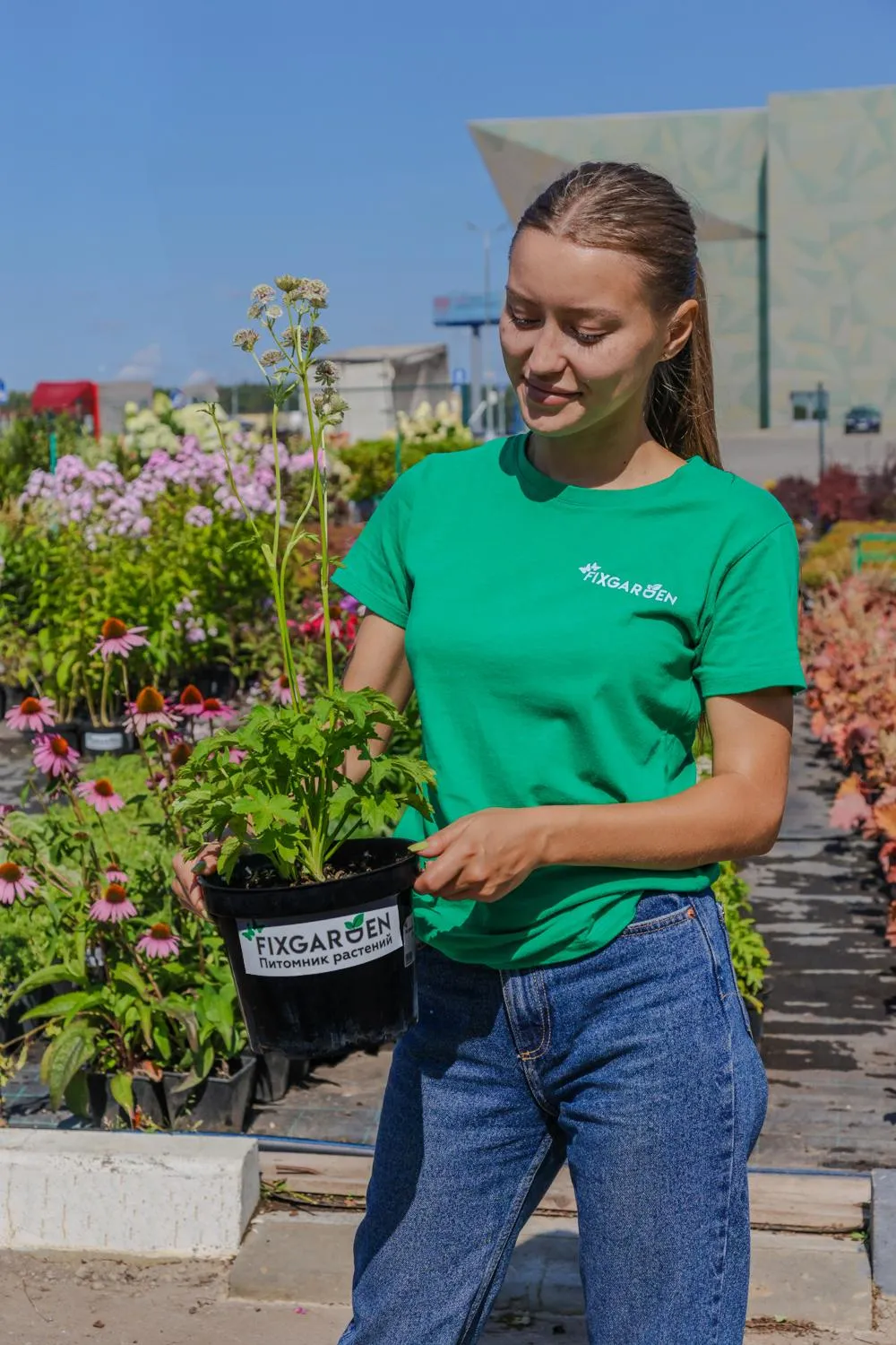 Астранция крупная Алба