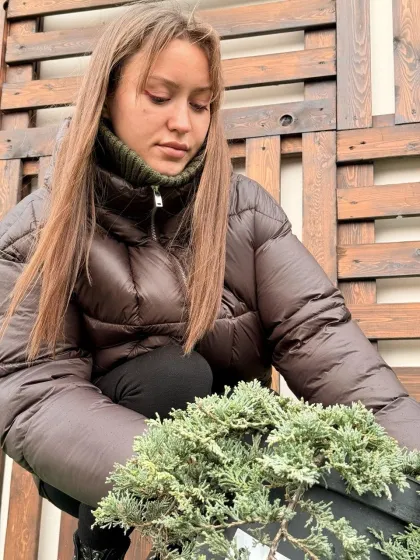 Можжевельник горизонтальный Айс Блю