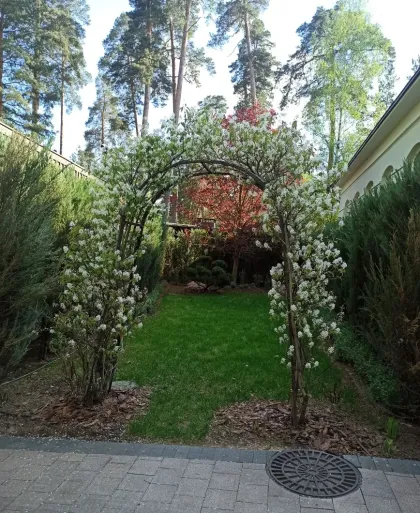 Ирга Ламарка