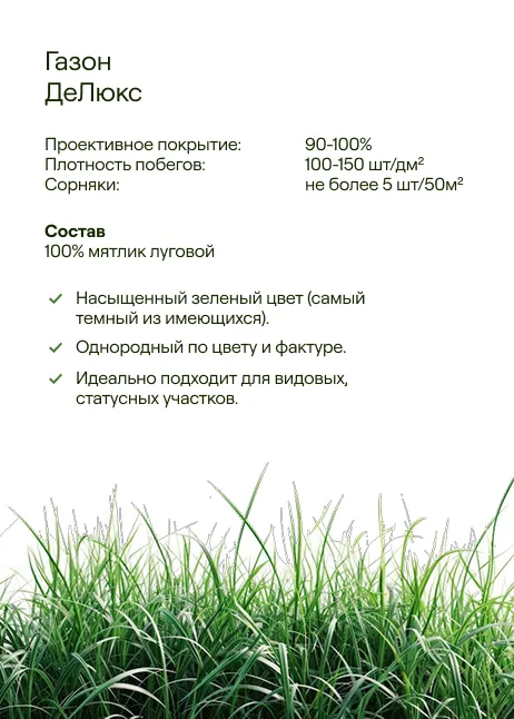 ДеЛюкс