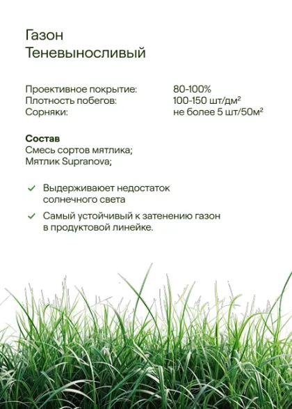 Теневыносливый